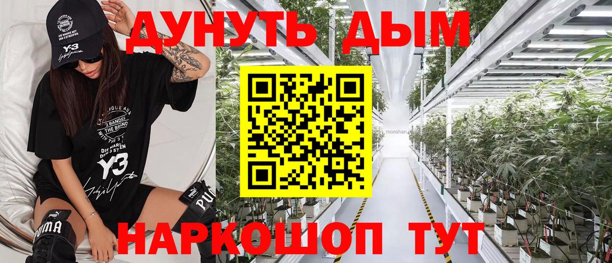 Каннабис гибрид Тара